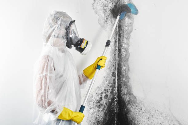 Best Residential Mold Inspection & Testing  in Phoenix, AZ