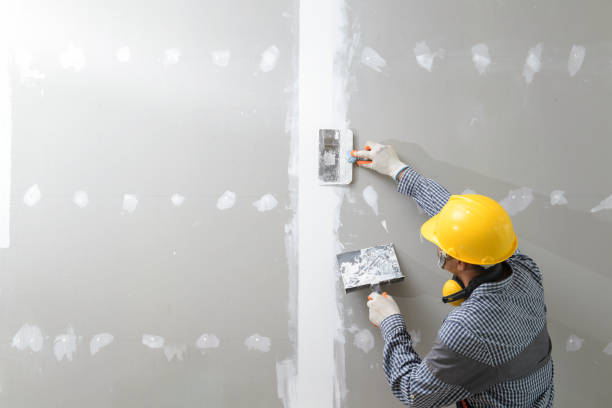 Best Mold Prevention Services  in Phoenix, AZ