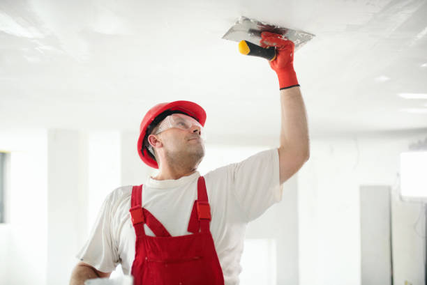 Best Industrial Mold Remediation  in Phoenix, AZ