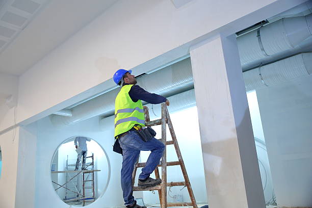 Best Real Estate Mold Inspection  in Phoenix, AZ